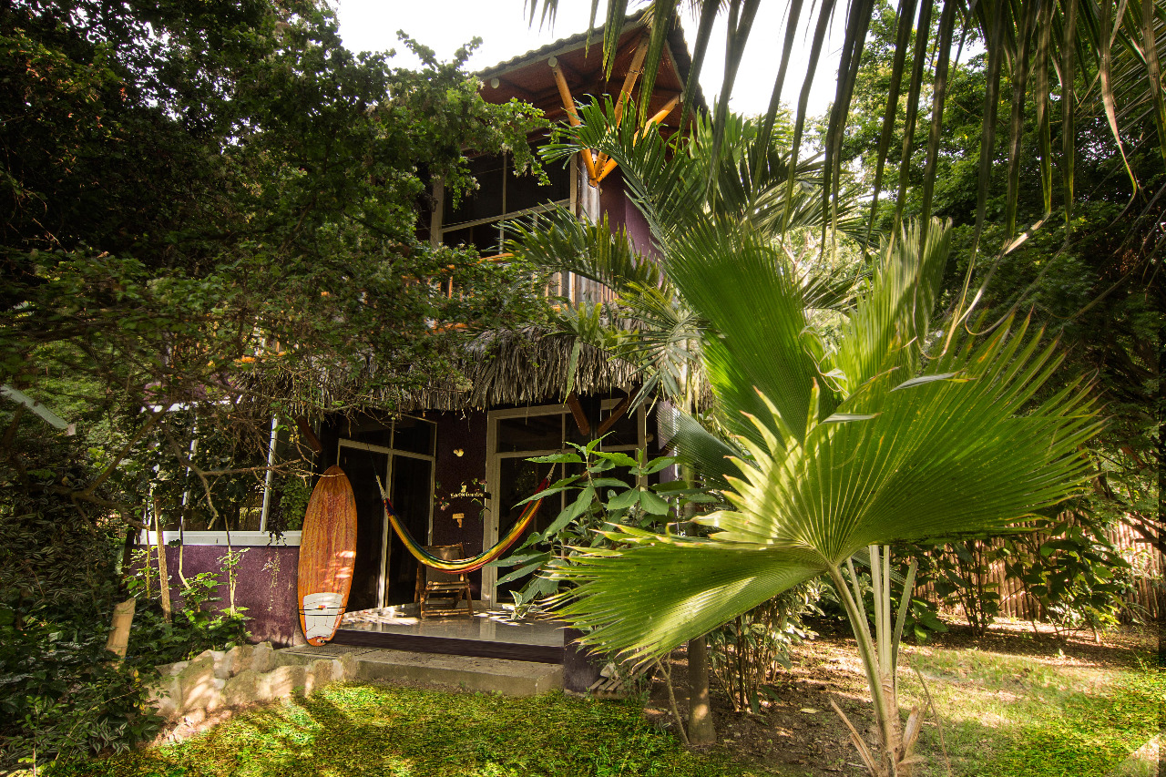 Room Colibrí