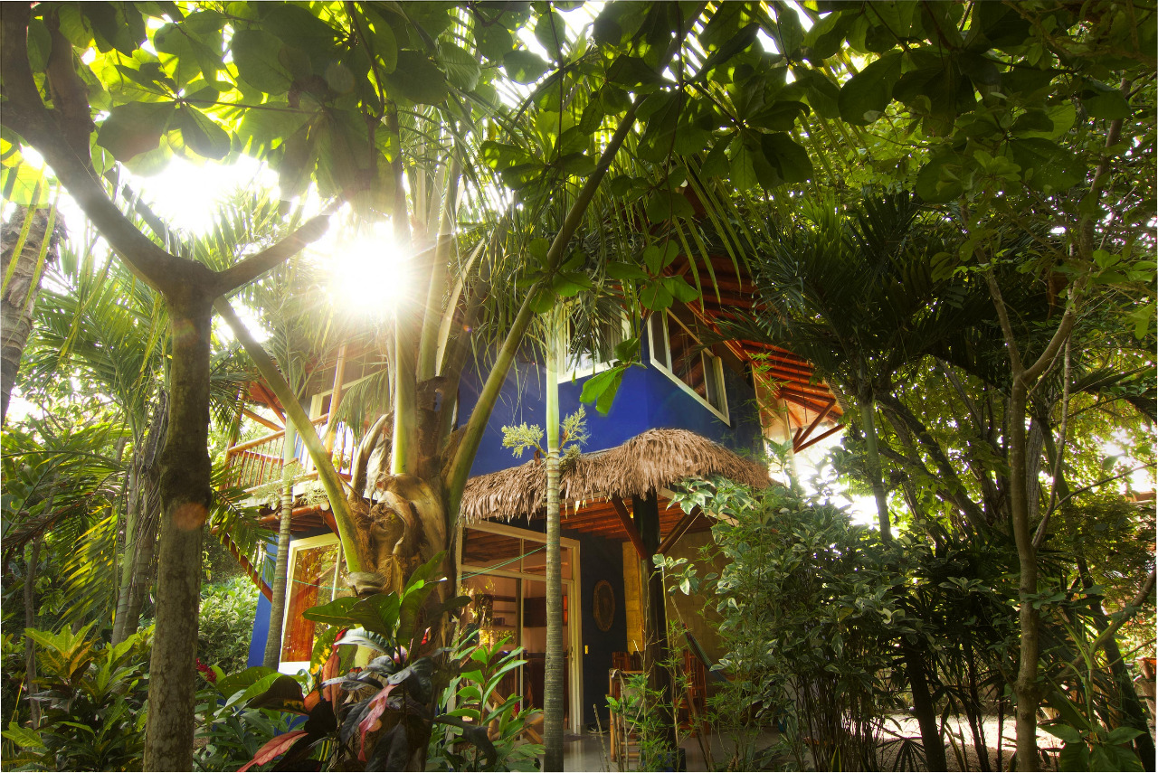 Room Tangara